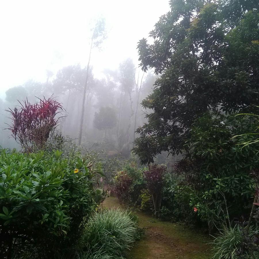 Hill Side Estate Lägenhet Madikeri Exteriör bild
